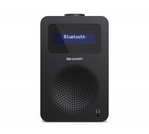 Радіоприймач Sharp DR430BK Black (DR-430(BK))