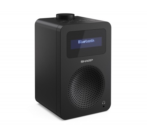 Радіоприймач Sharp DR430BK Black (DR-430(BK))