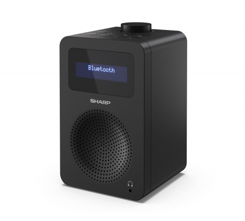 Радіоприймач Sharp DR430BK Black (DR-430(BK))
