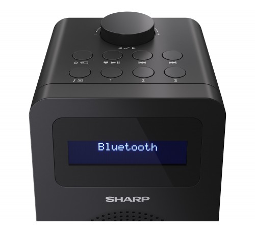 Радіоприймач Sharp DR430BK Black (DR-430(BK))