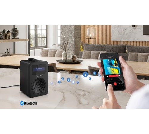 Радіоприймач Sharp DR430BK Black (DR-430(BK))