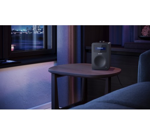 Радіоприймач Sharp DR430BK Black (DR-430(BK))