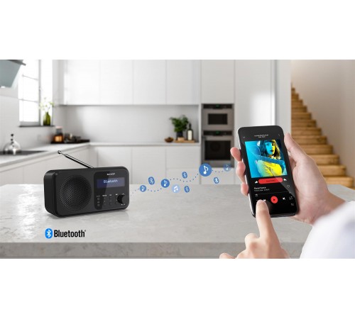 Радіоприймач Sharp DR-P420 Midnight Black (DR-P420(BK))