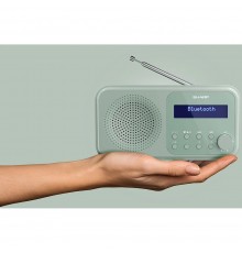 Радіоприймач Sharp DR-P420 Green (DR-P420(GN))