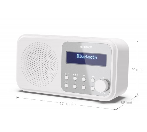 Радіоприймач Sharp DR-P420 Snowy White (DR-P420(WH))