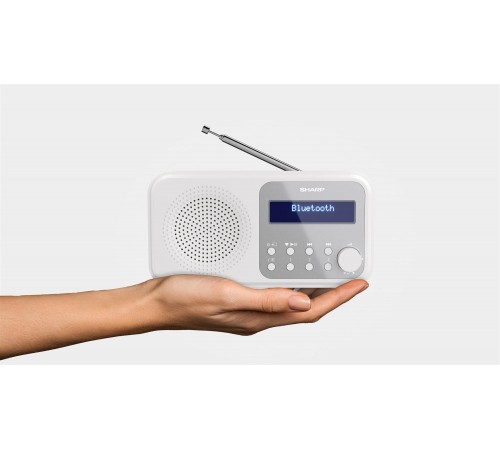 Радіоприймач Sharp DR-P420 Snowy White (DR-P420(WH))