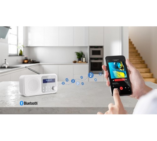 Радіоприймач Sharp DR-P420 Snowy White (DR-P420(WH))