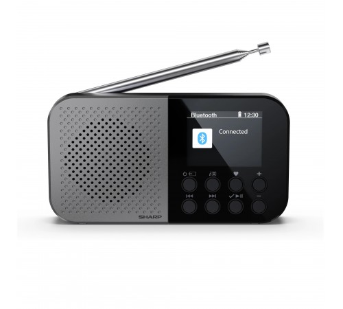 Радіоприймач Sharp DR-P520 Grey (DR-P520(GY))