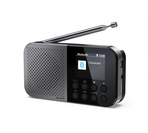 Радіоприймач Sharp DR-P520 Grey (DR-P520(GY))