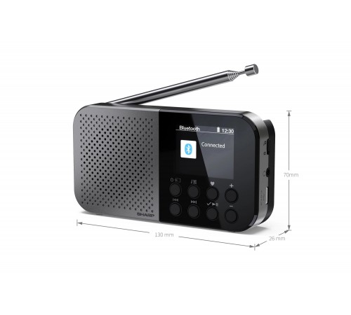 Радіоприймач Sharp DR-P520 Grey (DR-P520(GY))