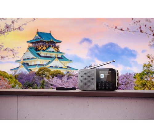 Радіоприймач Sharp DR-P520 Grey (DR-P520(GY))