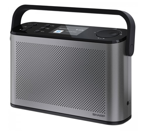 Радіоприймач Sharp DR-P540 Grey (DR-P540(GY))