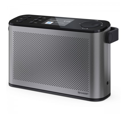 Радіоприймач Sharp DR-P540 Grey (DR-P540(GY))