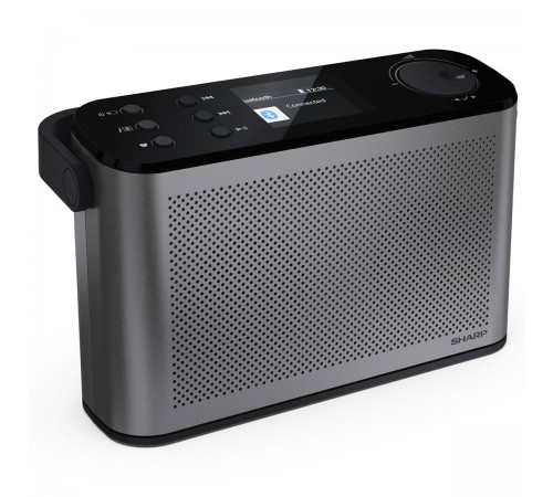 Радіоприймач Sharp DR-P540 Grey (DR-P540(GY))