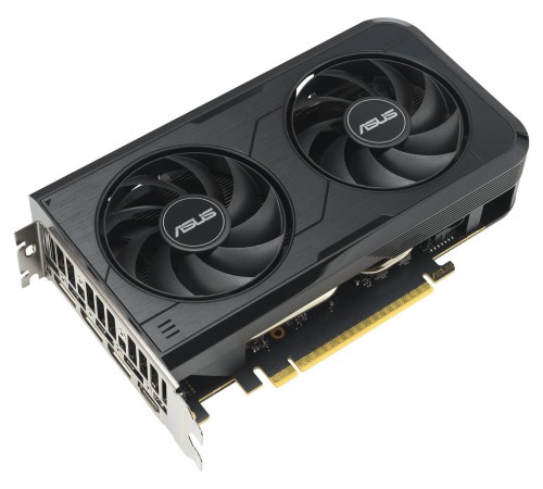 Відеокарта GF RTX 5050 8GB GDDR6 Dual OC Asus (DUAL-RTX5050-O8G)