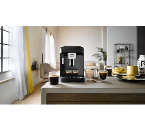 Кавомашина Delonghi Magnifica Evo ECAM 290.21.B