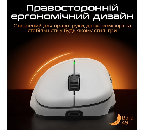 Миша бездротова RAWM ER21Pro Black