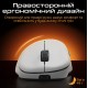 Миша бездротова RAWM ER21Pro Black
