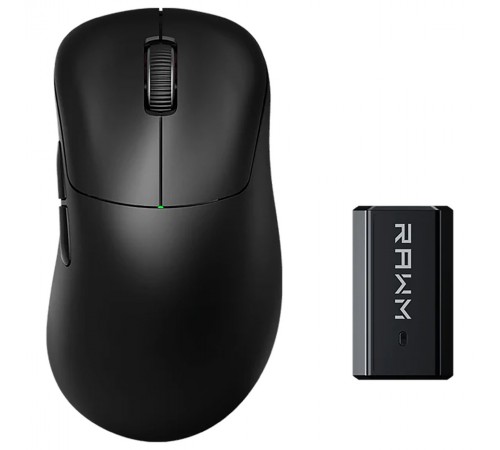 Миша бездротова RAWM ER21Pro Black
