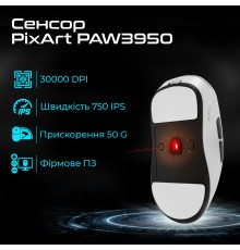 Миша бездротова RAWM ES21Pro Black