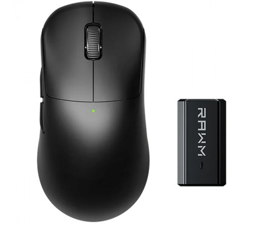 Миша бездротова RAWM ES21Pro Black