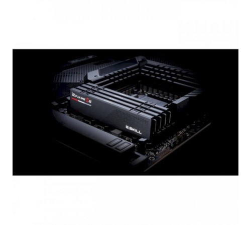 Модуль пам`ятi DDR5 2x16GB/5600 G.Skill Ripjaws S5 Black (F5-5600J3636C16GX2-RS5K)