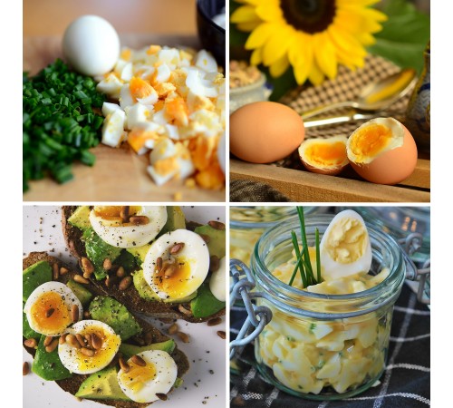 Яйцеварка First FA-5115-2