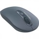 Миша бездротова A4Tech FG20 Ash Blue USB