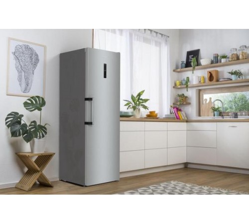 Морозильна камера Gorenje FN619EAXL6