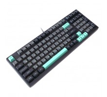 Клавіатура A4Tech Fstyler FS300 Panda Rock Climbing