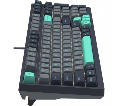 Клавіатура A4Tech Fstyler FS300 Panda Rock Climbing