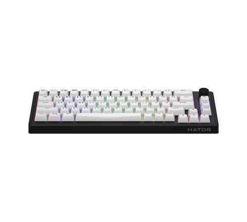 Клавіатура бездротова Hator Skyfall 65 Wireless Black-White (HTK3160UA)