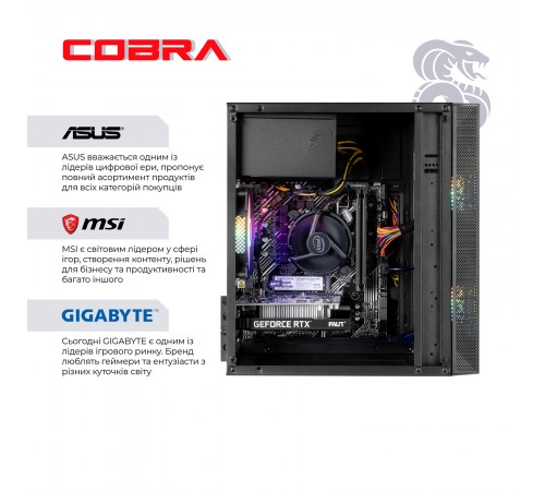 Персональний комп`ютер COBRA Advanced (I121F.16.S5.55.25100)