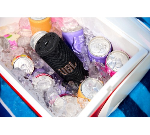 Акустична система JBL Grip White (JBLGRIPWHT)