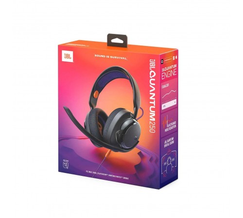 Гарнiтура JBL Quantum 250 Black (JBLQTUM250BLK)