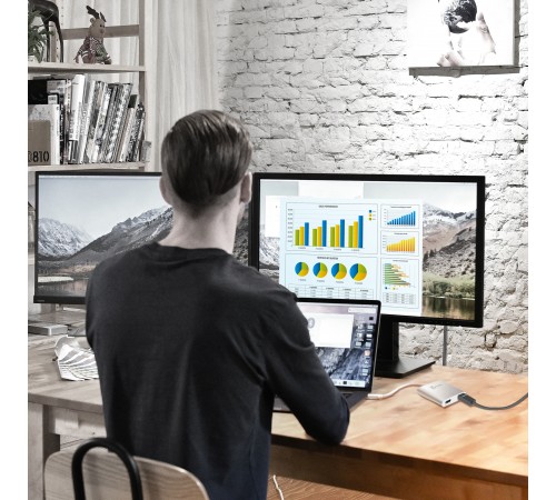 Адаптер J5create USB-A - 2 HDMI (M/F), Silver (JUA365-N)