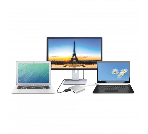 Адаптер J5create USB-A - 2 HDMI (M/F), Silver (JUA365-N)