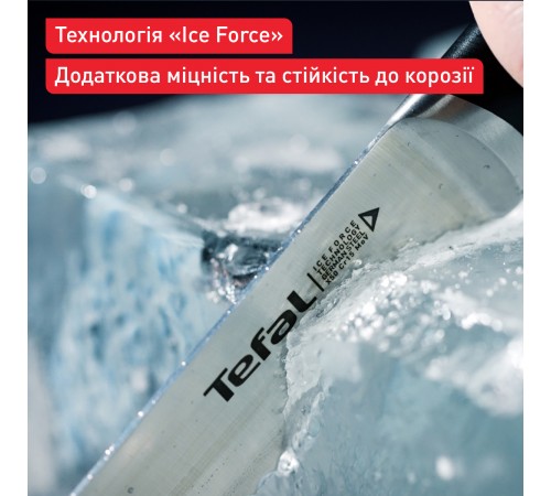 Набір ножів Tefal Ice Force у пластиковій колоді 4 предмети (K2325S75)