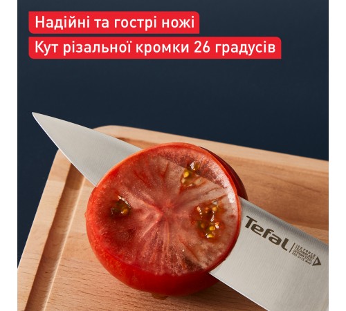 Набір ножів Tefal Ice Force у пластиковій колоді 4 предмети (K2325S75)