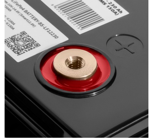 Акумуляторна батарея LogicPower 12V 230 AH (2944Wh) Smart BT для ДБЖ (BMS 150A/75А) LiFePO4 Акумуляторна батарея LogicPower 12V 230 AH (2944Wh) Smart BT для ДБЖ (BMS 150A/75А) LiFePO4