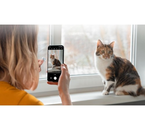 Карта пам`яті MicroSDXC 128GB UHS-I/U3 Class 10 Samsung Evo Plus R160MB/s + SD-адаптер (MB-MC128SA/EU)