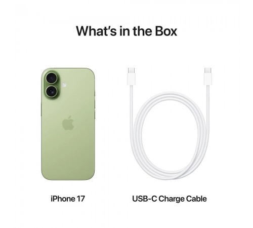 Смартфон Apple iPhone 17 256GB Sage (MG6N4AF/A)