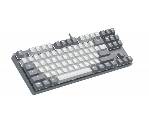 Клавіатура GamePro Genesis Metallic MK110G Outemu Red Swithes USB Gray