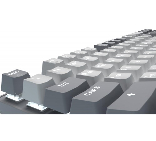 Клавіатура GamePro Genesis Metallic MK110G Outemu Red Swithes USB Gray