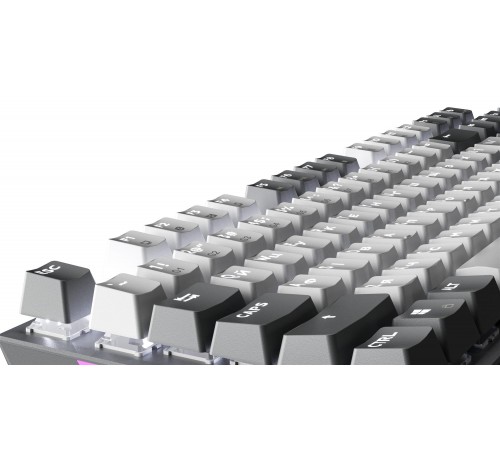 Клавіатура GamePro Genesis Metallic MK144G Outemu Red Swithes USB Gray