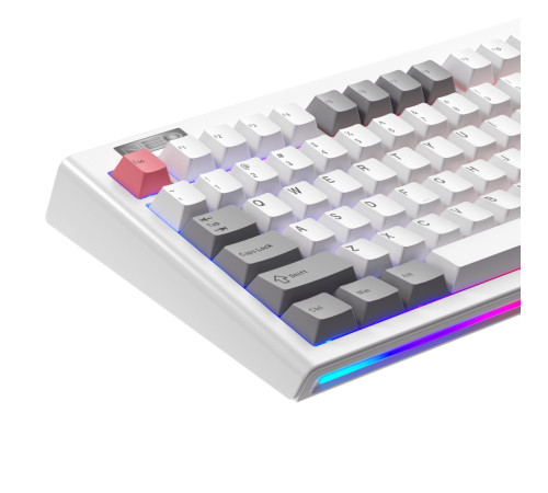 Клавіатура бездротова 1stPlayer NEO87 Wireless Frostwave (NEO87-FW-TLD)