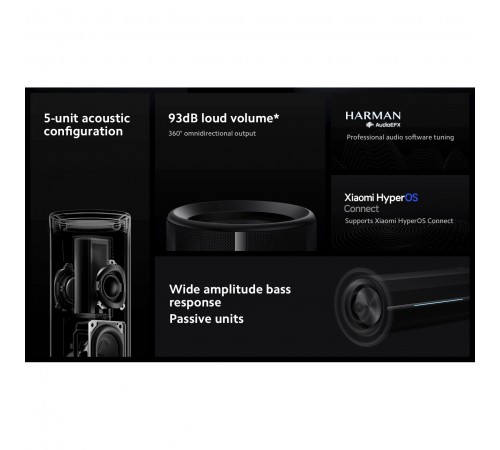 Акустична система Xiaomi Bluetooth Speaker Black (QBH4275GL)_EU