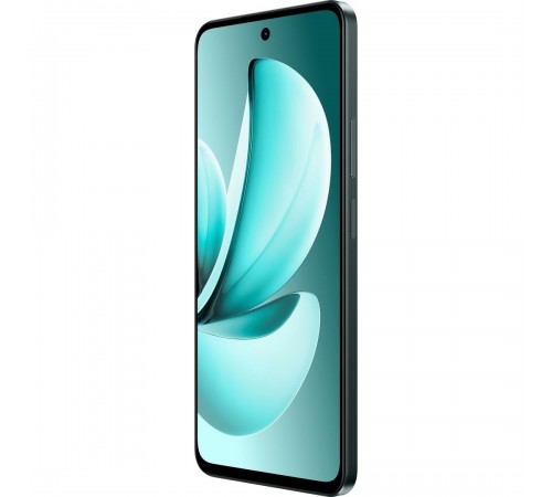 Смартфон Realme C71 8/256GB (RMX5303) Forest Owl Смартфон Realme C71 8/256GB (RMX5303) Forest Owl