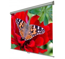 Екран настінний ручний Walfix 84" SNM-2 (170*127, 4:3)