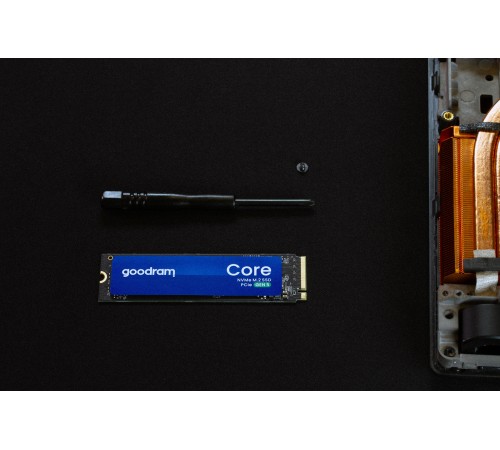 Накопичувач SSD 1TB Goodram Core M.2 2280 PCIe 5.0 x4 NVMe 3D NAND (SSDR-GRC01-1K0-80)